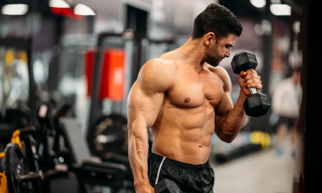 Entraînement en musculation