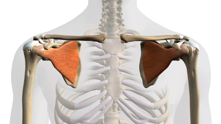 Pourquoi ai je mal au muscle sous scapulaire