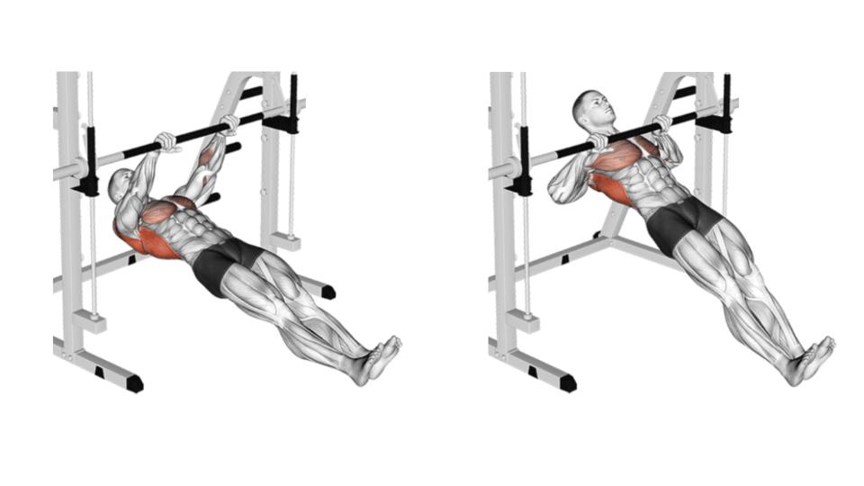 Comment les abdominaux et le gainage interviennent pendant les tractions
