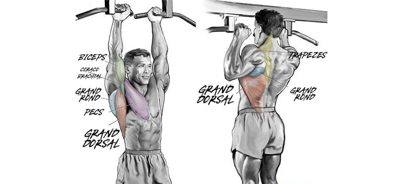 Quels muscles sont sollicités selon la prise utilisée