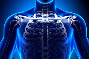 Qu’est ce que cela signifie d’avoir des clavicules larges